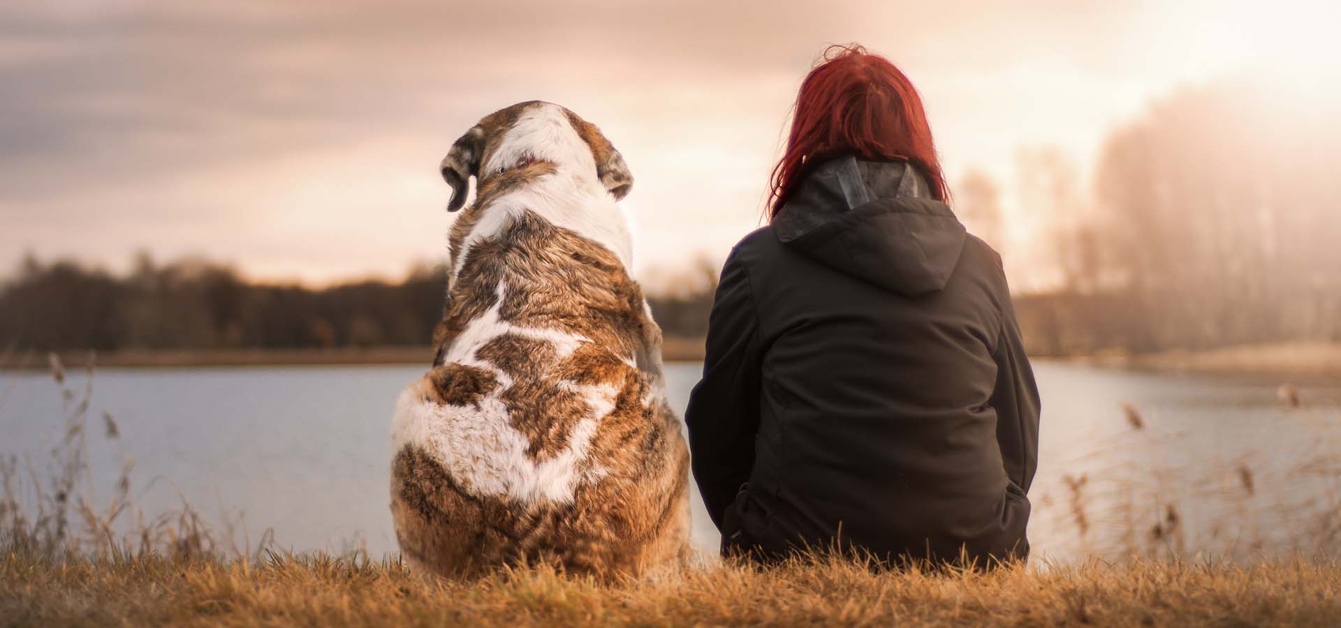 La solitude n’est pas une fatalité